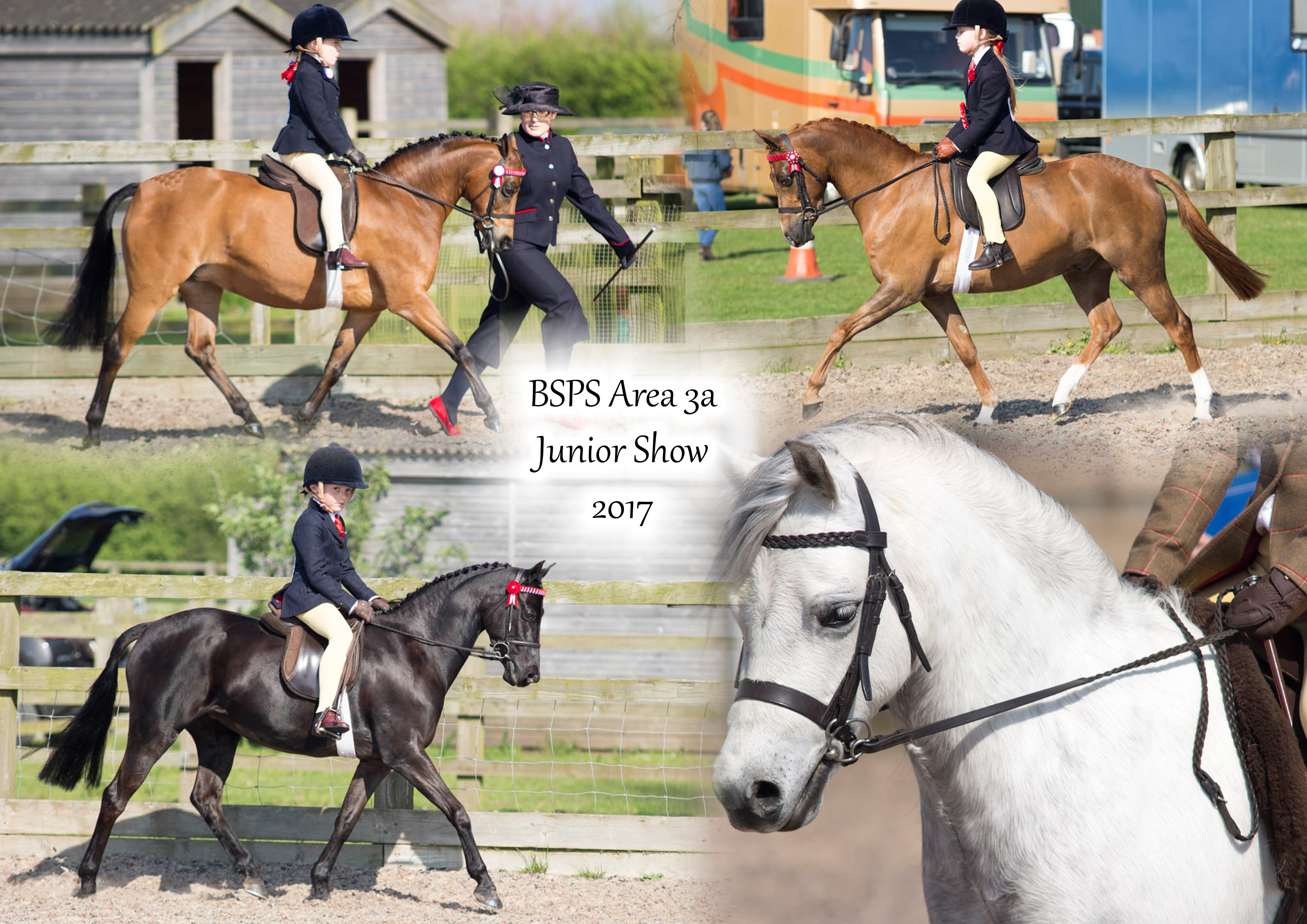 BSPS Area 3a Junior Show 2017