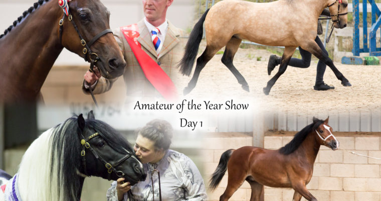 Amateur of the Year Show- Day 1