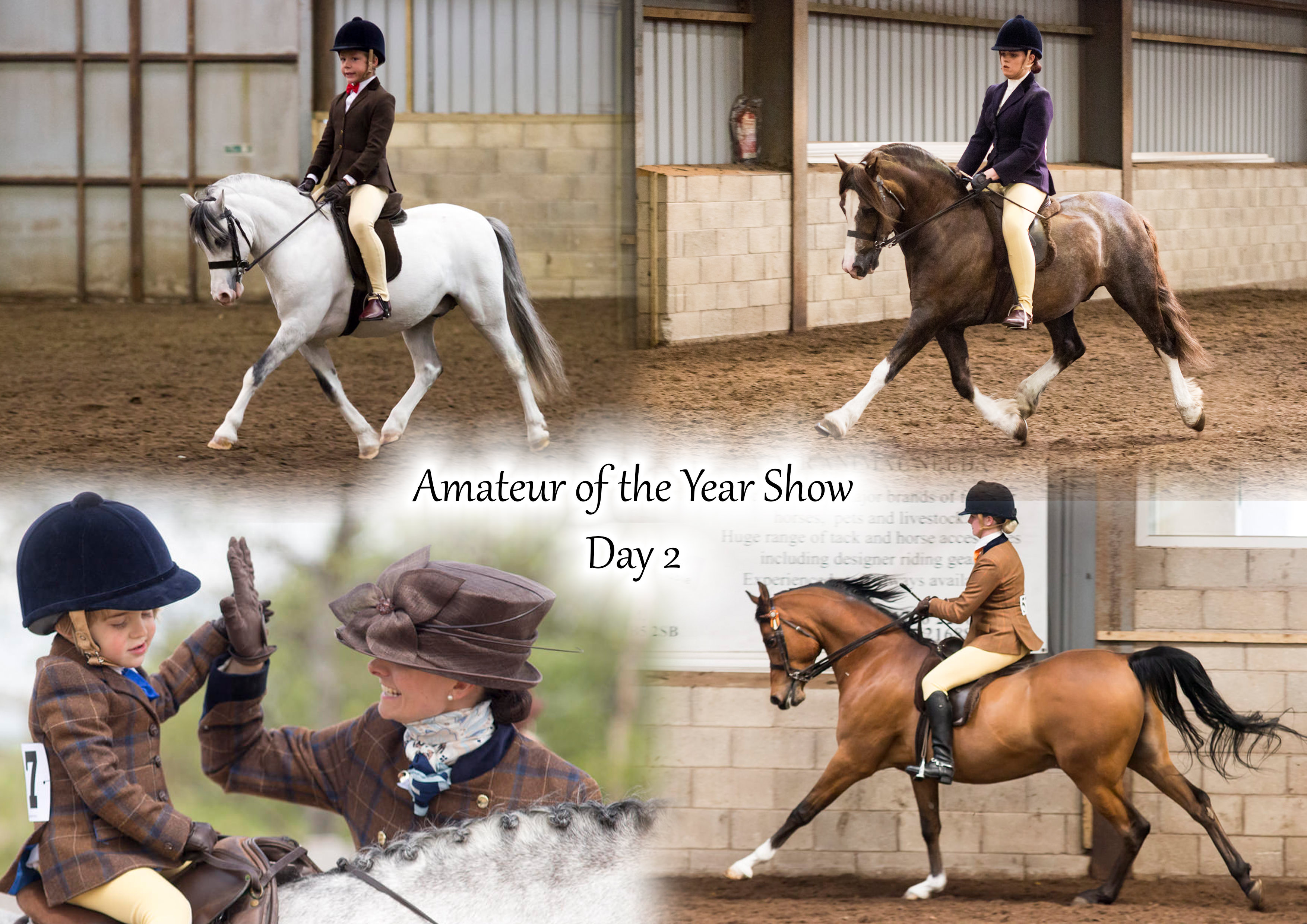 Amateur of the Year Show- Day 2