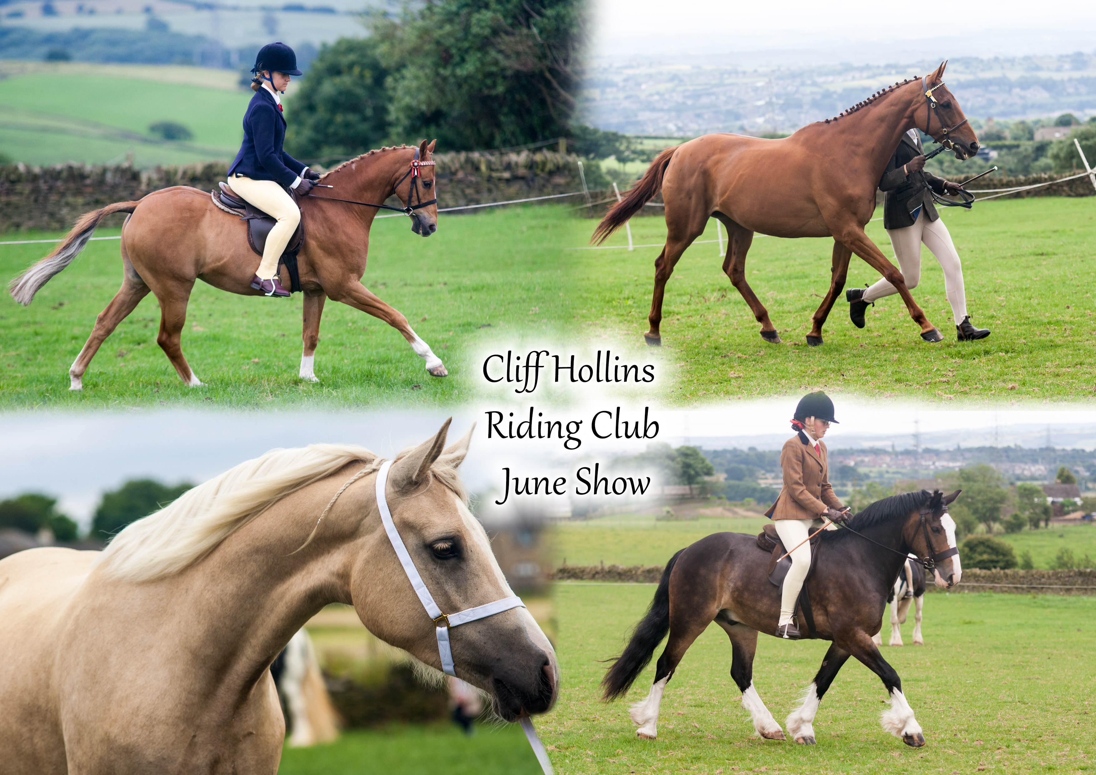 Cliff Hollins Riding Club School