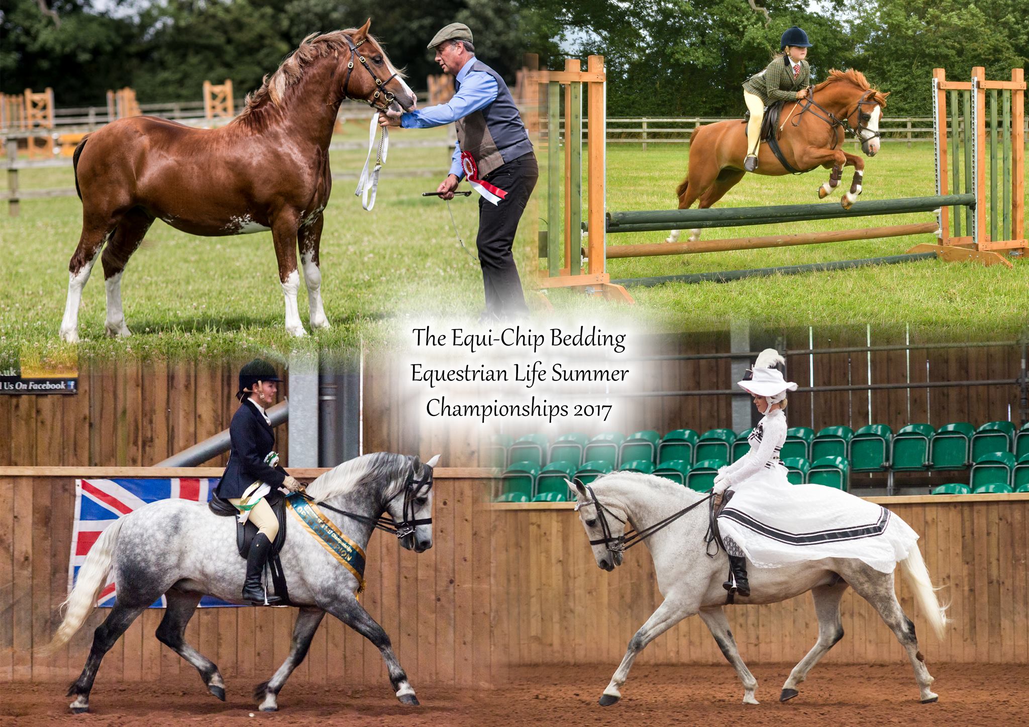 Equestrian Life Championships Friday