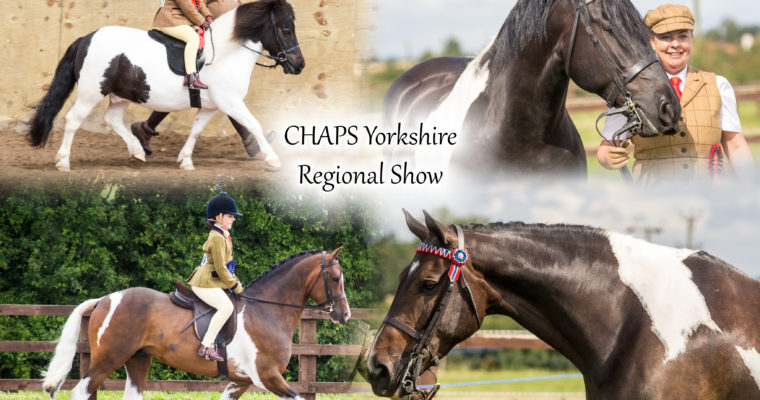 CHAPS Yorkshire Regional Show