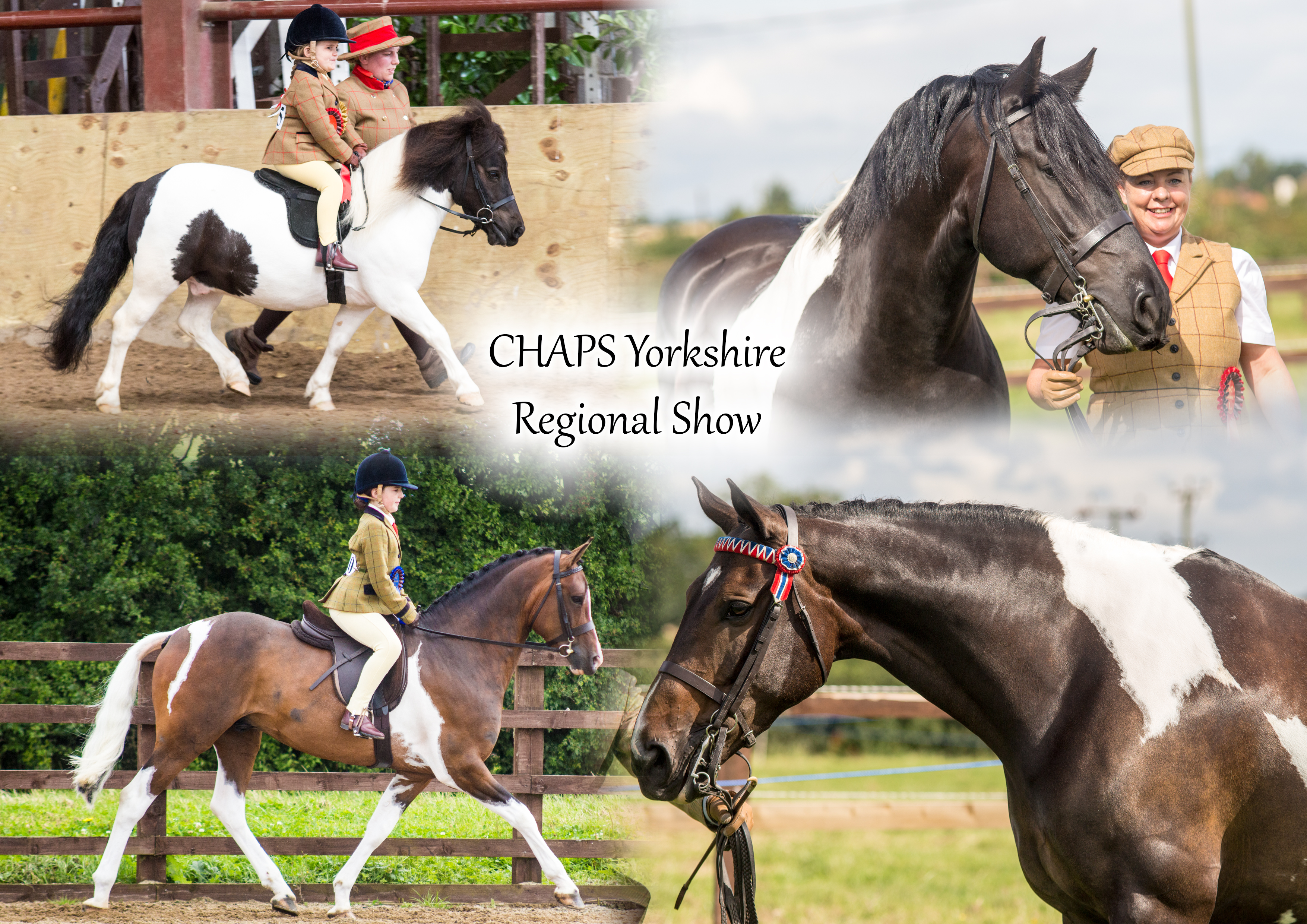 CHAPS Yorkshire Regional Show