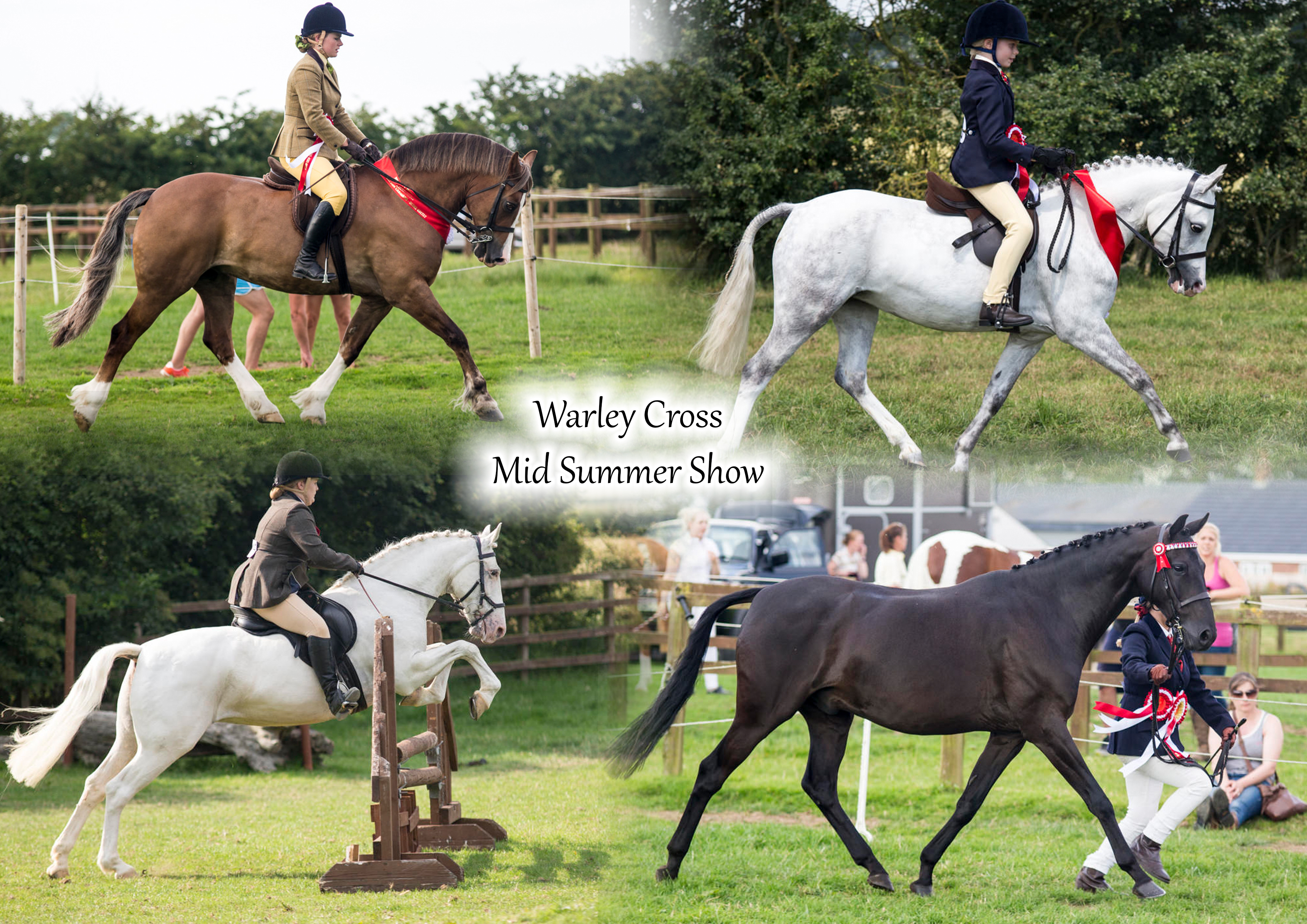 Warley Cross Stables Mid Summer Show
