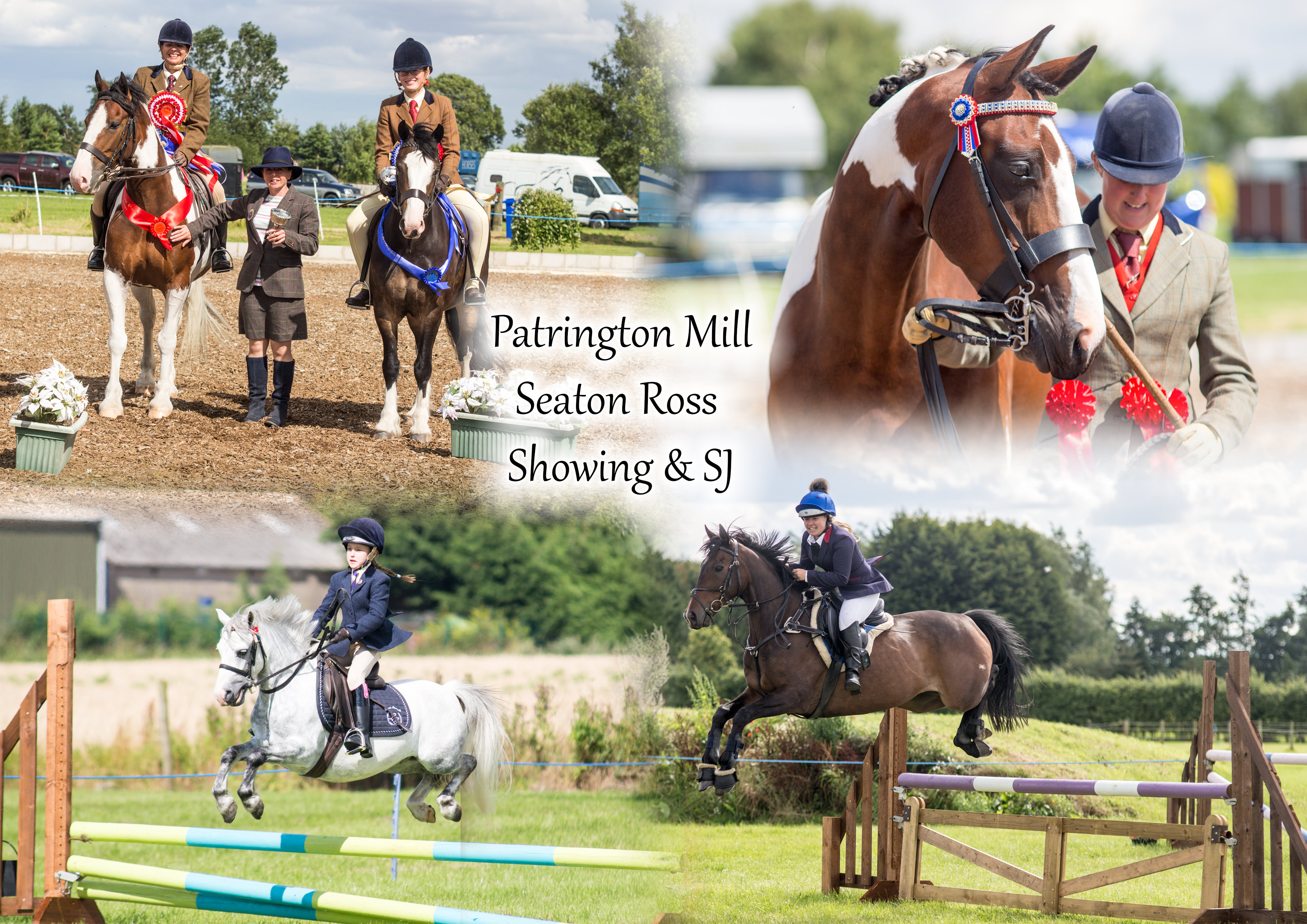 Patrington Mill Showing Show & Showjumping- Rose Thorpe Park