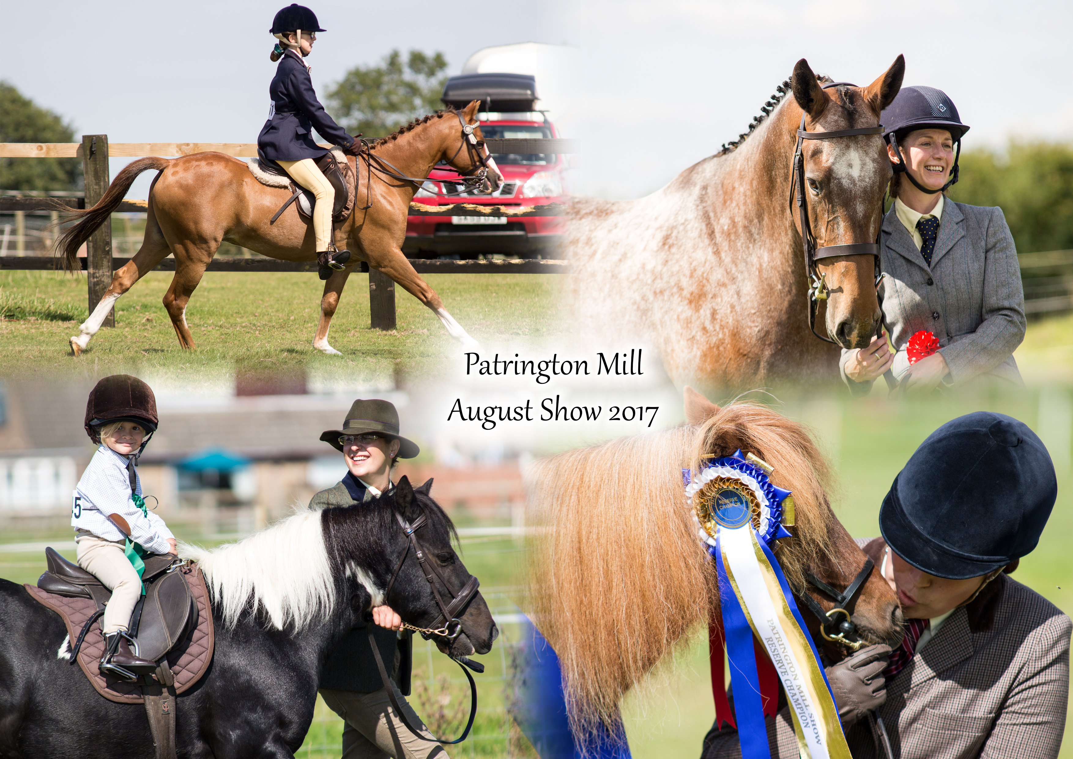 Patrington Mill Summer Shows- August