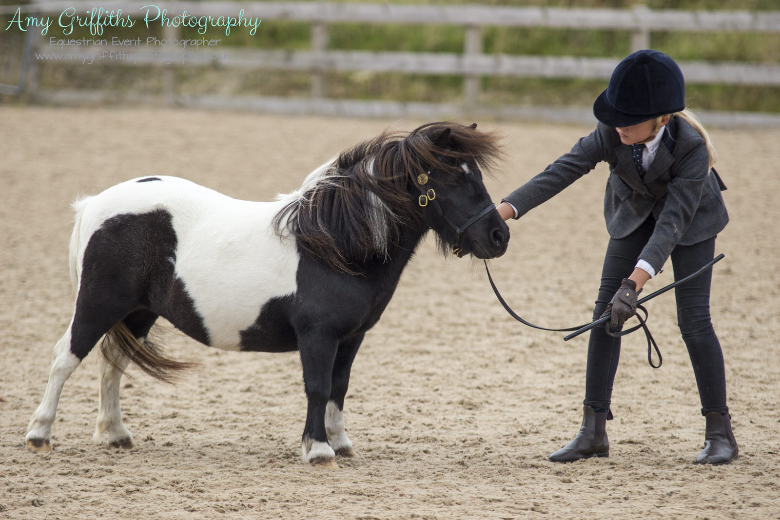 British Masters Showing Championships