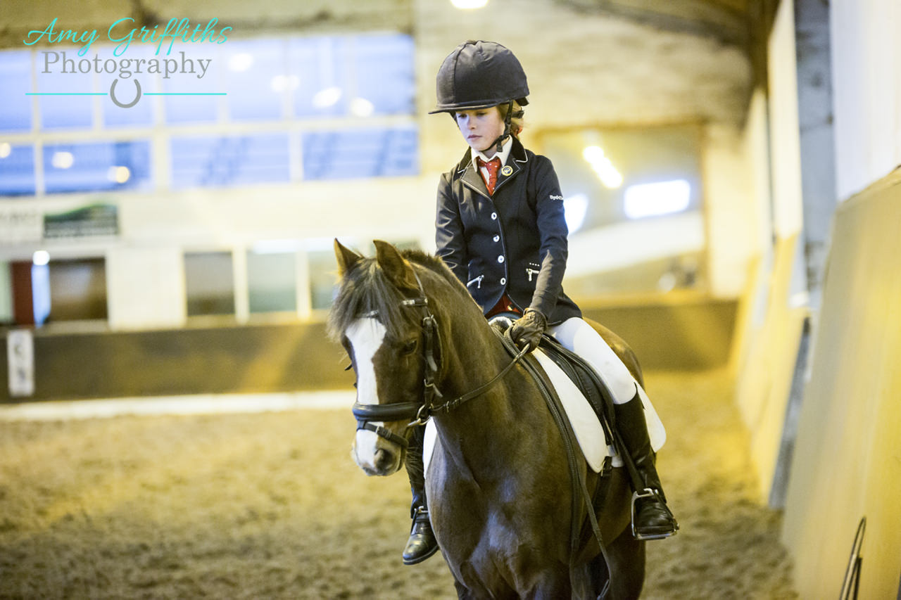 Showcase Dressage at Middleton Park- 19th November 2017