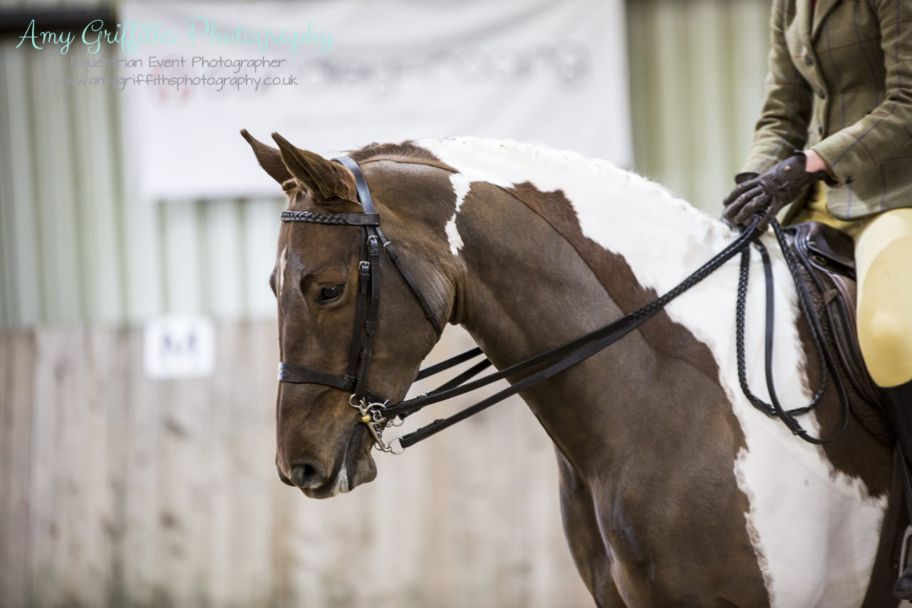 Patrington Mill Novice Show at Northern Racing College- 29th October 2017