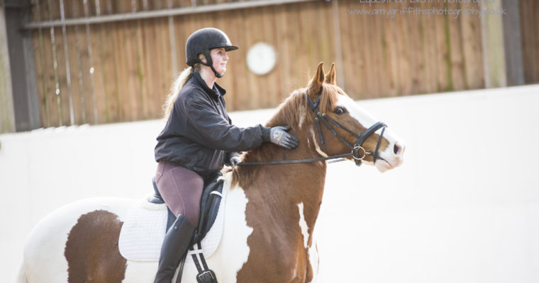 Blueberry Dressage- 5th November 2017