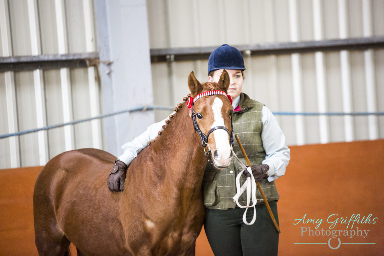 Patrington Mill at Northern Racing College- 26th February 2018